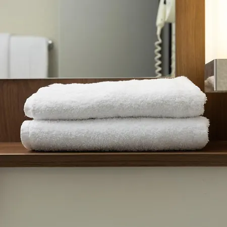 ホテル Campanile Nature - Bordeaux Sud 3*